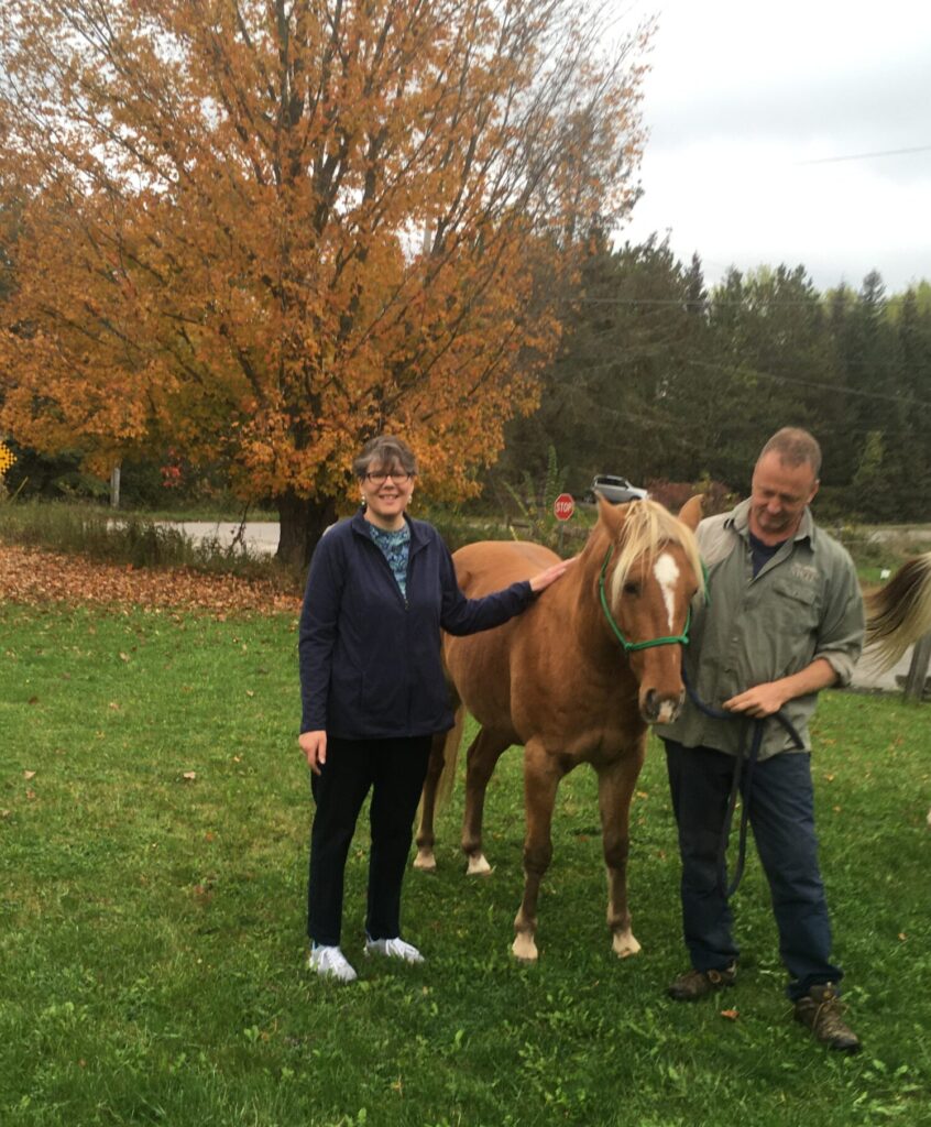 Horse Training
Horsemanship
Equine Facilitated Mindfulness