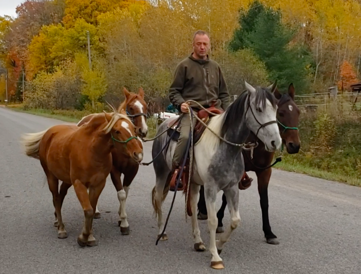 Horse Training
Horsemanship
Equine Facilitated Mindfulness