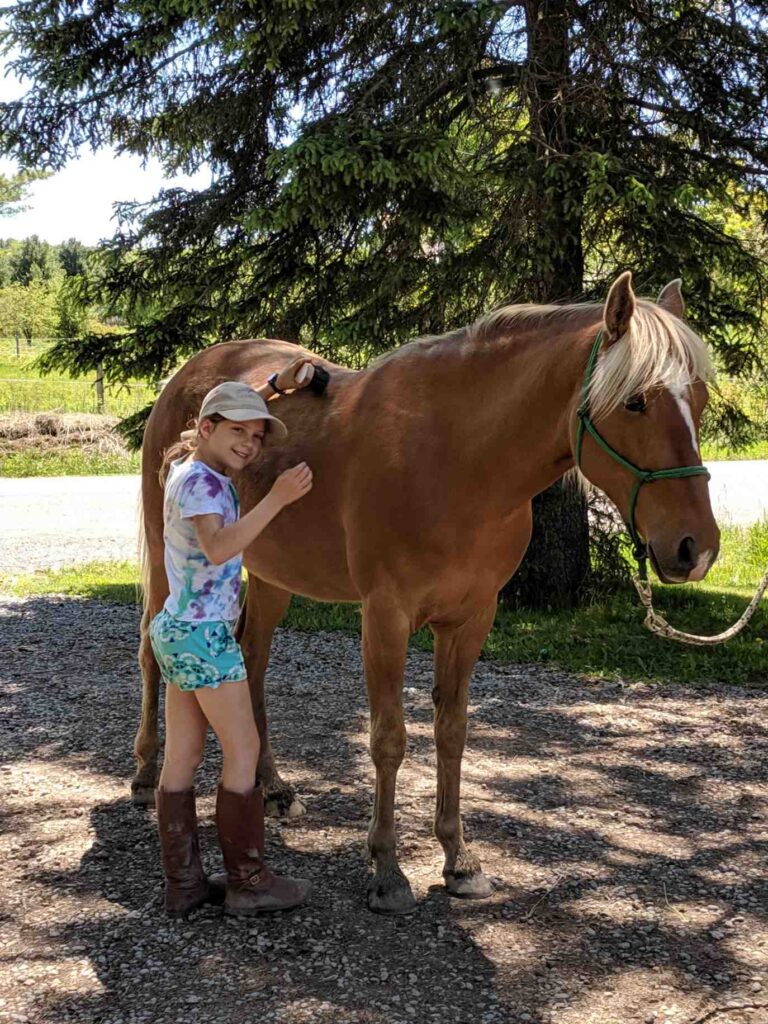 horse mindfulness horsemanship horse training